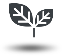 Rispetto dell'Ambiente Rispetto dell'Ambiente